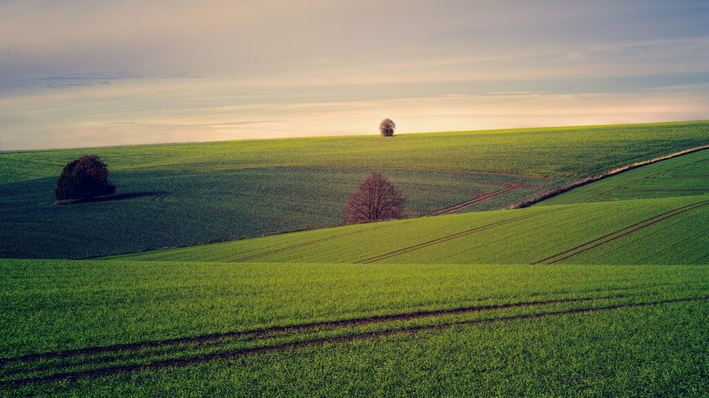 water for agriculture industry